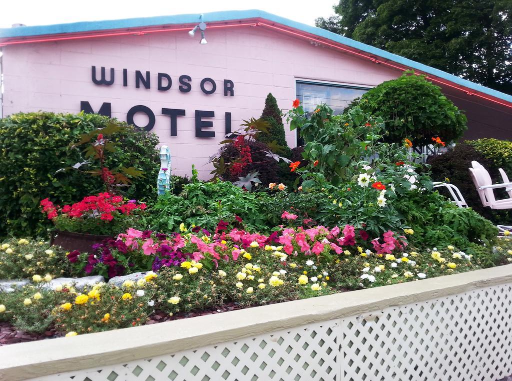 Windsor Motel Lake George Eksteriør billede